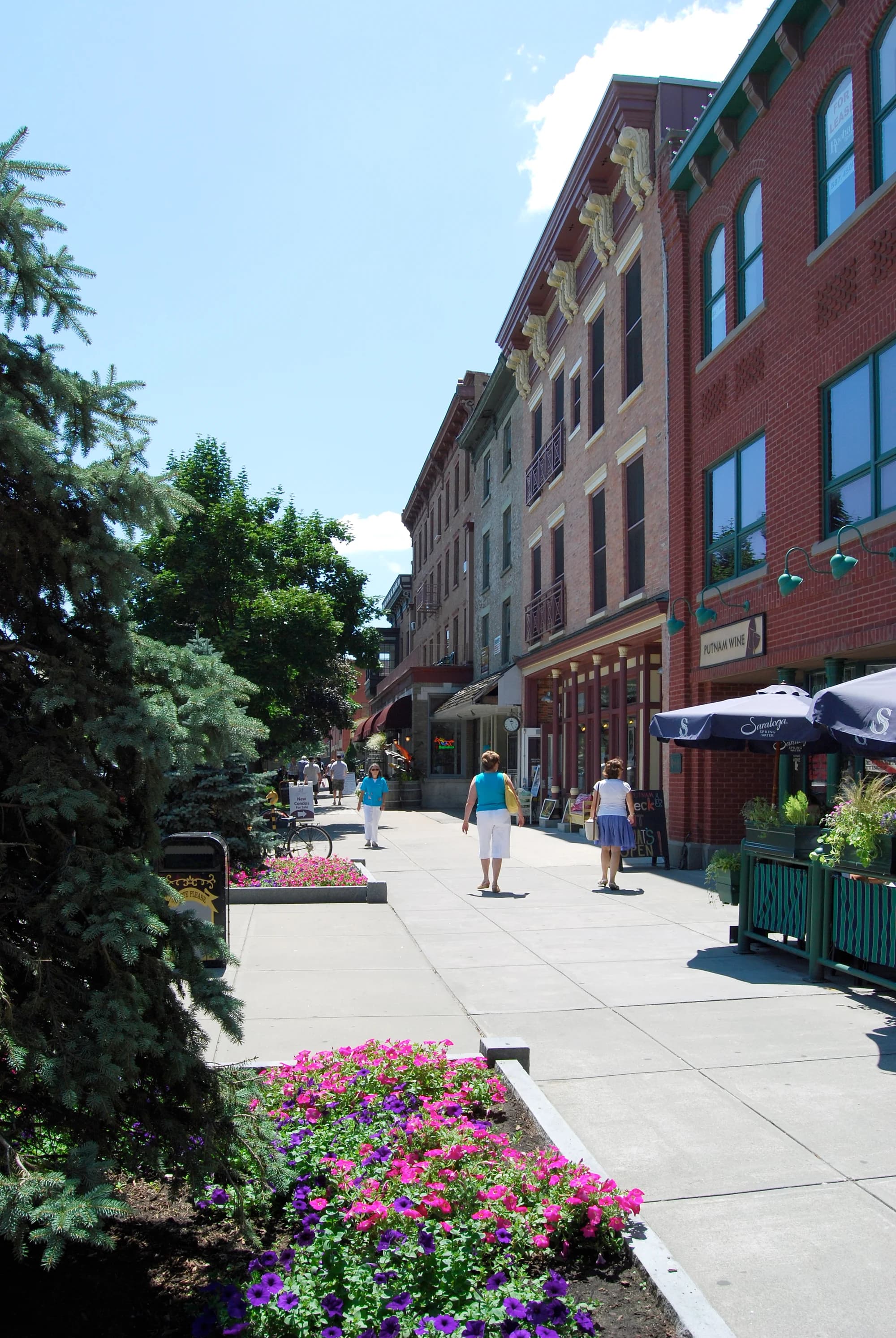 Vets in Saratoga Springs